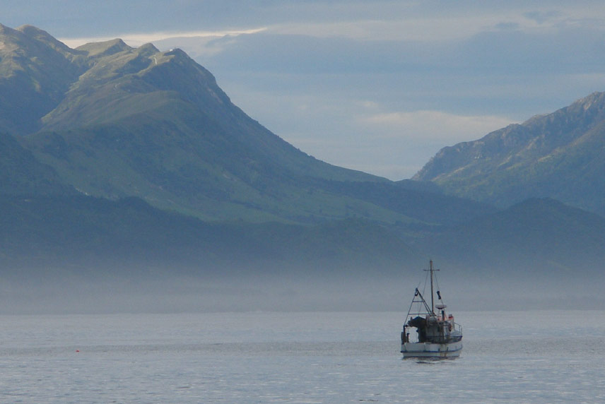 Marine conservation. : Welcome to OpenSeas